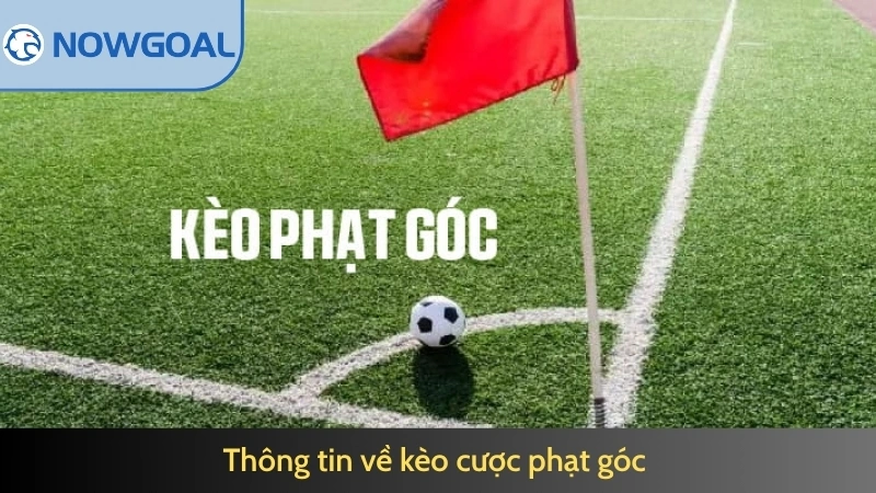 Thông tin về kèo cược phạt góc 