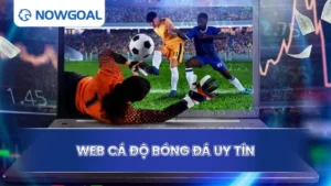 Web cá độ bóng đá uy tín